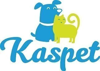 Kaspet